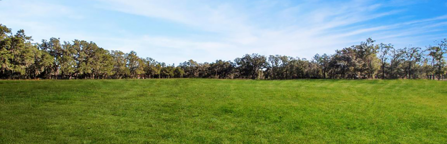 Looking to Buy or Sell LAND?